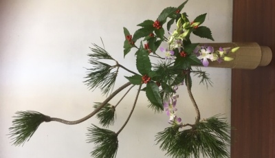 2019/12/26　お正月に使う松は、 若松  三光松  大王松 五葉松 根引松　が主なものです