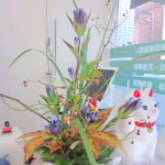 2014/11/6　あおき鍼灸院受付に飾りました