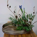 2014/11/17いけばな