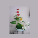 2014/11/7　いけばな