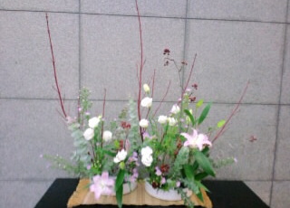 2014/12/10 三軒茶屋の展示花です