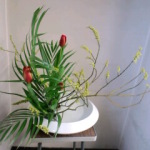 2015/1/26　お稽古で使った小原流いけばなです