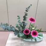 2019/11/7　初心者はユーカリとガーベラの取り合わせで、学びます