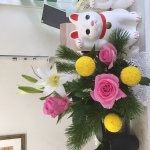 2020/1/15　中国では「松を不老」「バラを長春」 と、不老長春と愛でます