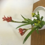 2020/1/28　小原流の色彩盛花の様式を丸水盤にいけました