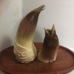 2020/４/15　筍がいけばなの花材として使えるんです！