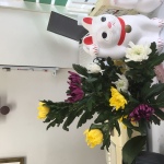 2020/9/29　9月は菊、秋を感じます