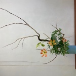 2020/11/16　石化柳は、カーブをつけようと曲げたけど、元の形にすぐ戻ります