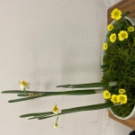 2020/11/27　矢張り難しい