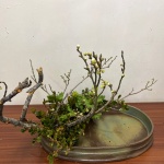 2021/1/11　写景　にいけてみました