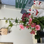 2021/1/21　鍼灸院にいけました