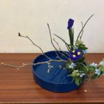 2025/1/20観水型にいけました