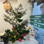 2025/2/8　椿の赤が綺麗です