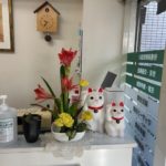 2025/2/14入って来た時お花があって、いつも綺麗で楽しみです