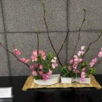 2025/2/25通りがかりの男性からダイナミックでセンスあるなぁと言われました