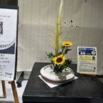 2025/8/10　スッキリ爽やかな夏ですね