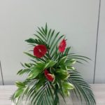 2025/8/12　緑の中から飛び出して来るイメージ