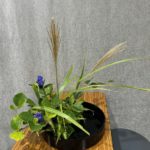 2025/8/22　小原流　写景