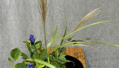 2025/8/22　小原流　写景