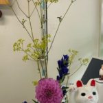 2025/8/30　秋の風が吹いて来そう