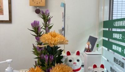 2025/11/8　気温の変化についていかないと風邪ひいちゃいますね