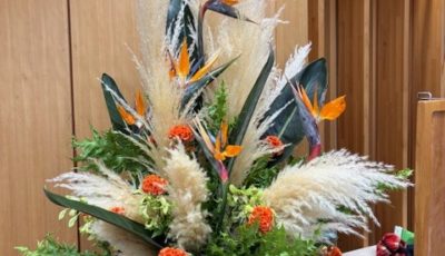 2025/11/10　農水省にいけました