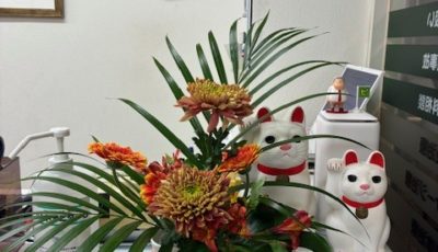 2025/11/21 鍼灸院にいけました