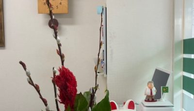 2025/11/29　真っ赤な槍鶏頭