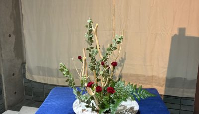 2025/12/1　12月に入ったので、クリスマスカラー