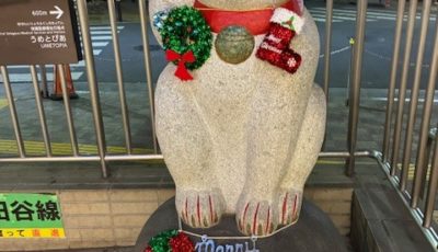 2025/12/19　豪徳寺駅の猫ちゃんにクリスマス飾り