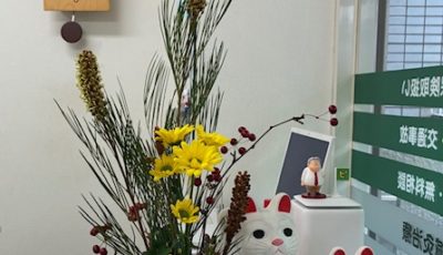 2025/12/17　オーストラリア産地の変わった花、グリベリアスパイダーマン