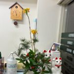 2026/1/4　姫五葉松