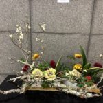 2026/1/10　梅の苔