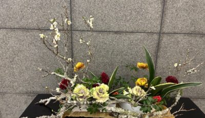 2026/1/10　梅の苔