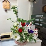 2026/1/27　アネモネが開くと大きくなります