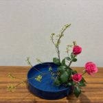 2026/1/27　観水型をいけました