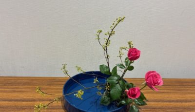 2026/1/27　観水型をいけました