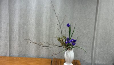 2026/2/7 瓶花で傾斜型