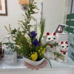 2026/2/10　咲くと黄色の花が可憐です