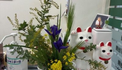 2026/2/10　咲くと黄色の花が可憐です