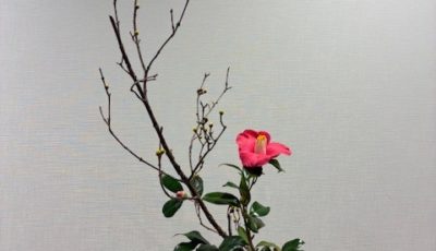 2026/2/11 省略の美を感じる